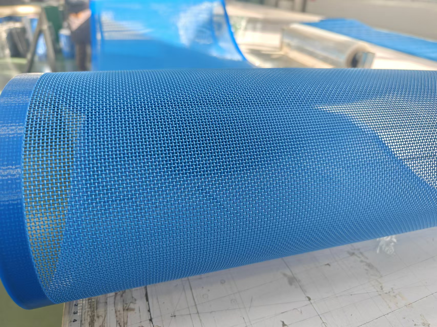 蔬菜水果清洗线使用的聚酯网带