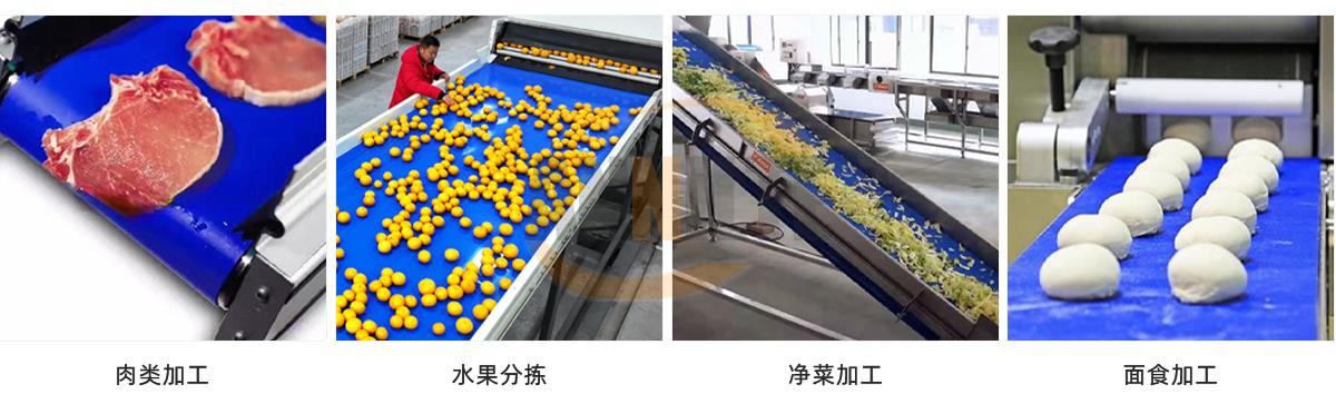 火腿培根切片输送带