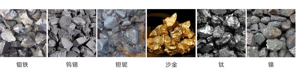 新官网 (1)